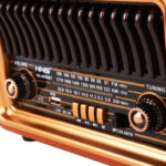 رادیو مدل NS-8069BT