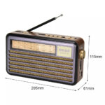 رادیو مییر مدل M-521BT-S